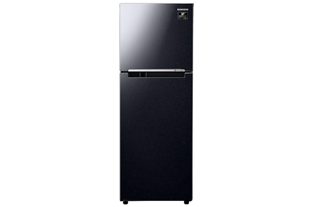  Tủ lạnh Samsung Inverter 256 lít RT25M4032BU/SV